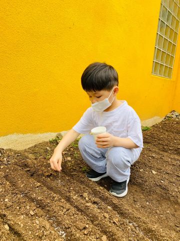 상추씨앗심기